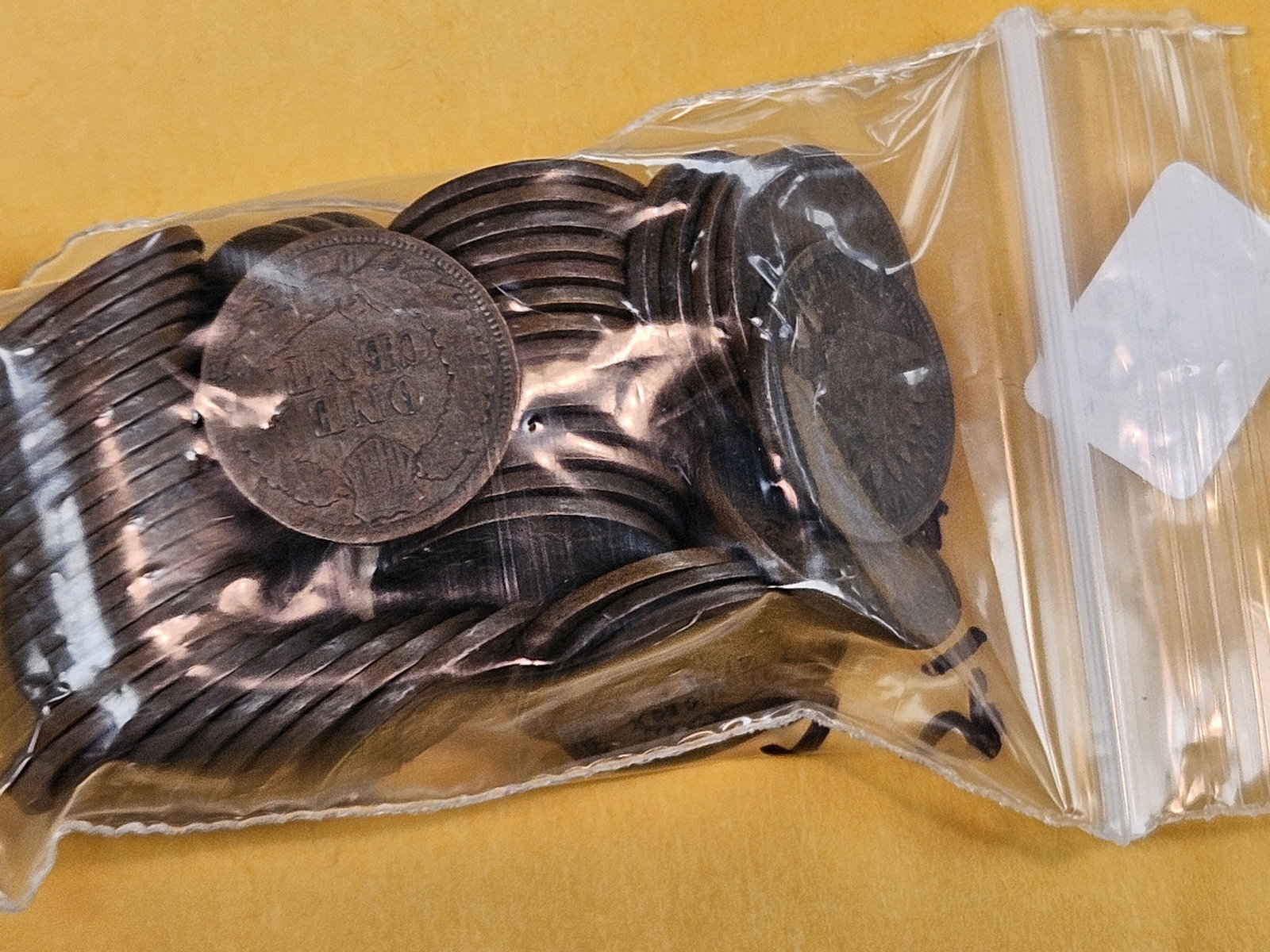 Fifty-One Indian Cents - 2