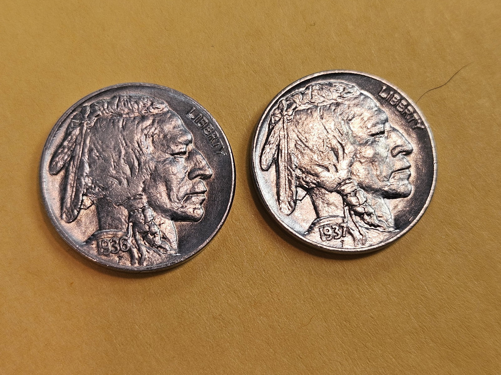 Choice and GEM Brilliant Uncirculated Buffalo Nickels: 1936 and 1937