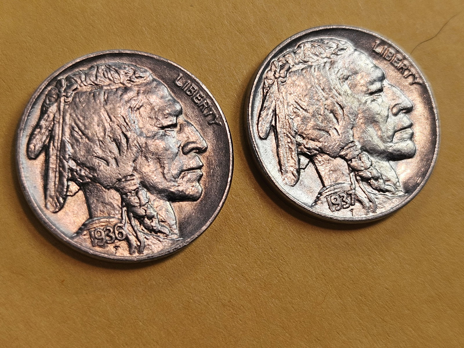 Choice and GEM Brilliant Uncirculated Buffalo Nickels - 3