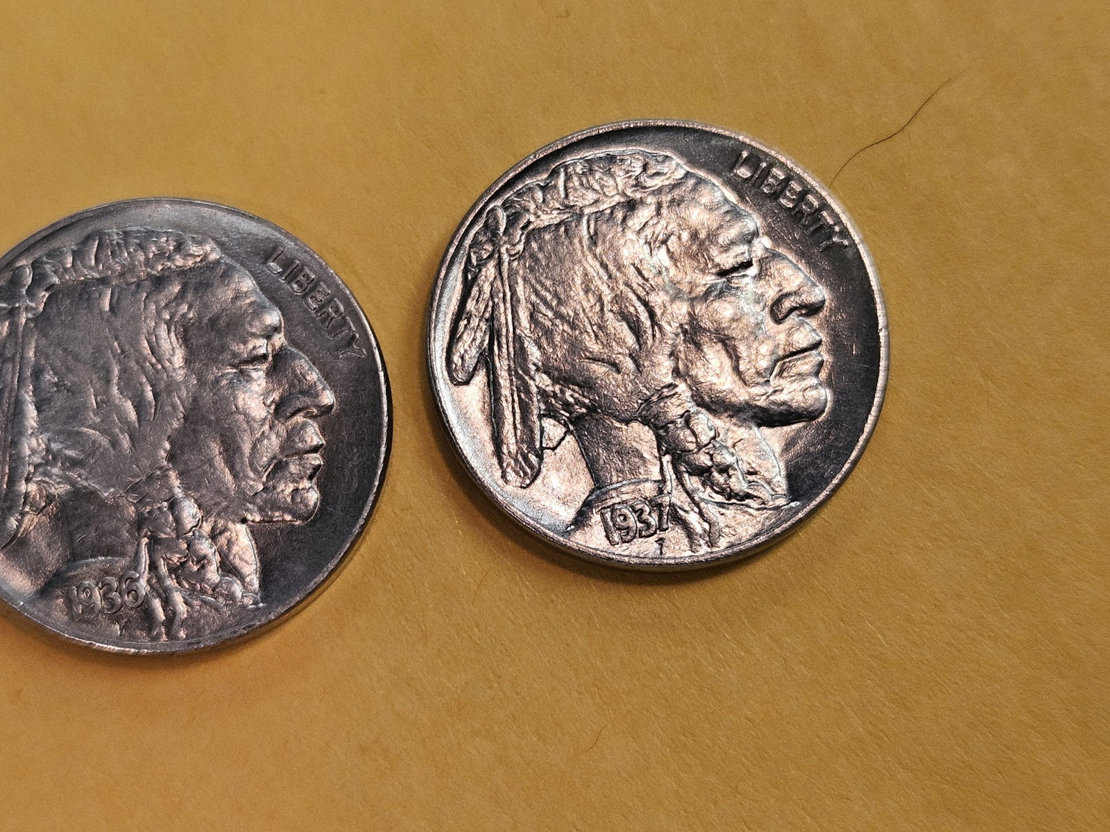 Choice and GEM Brilliant Uncirculated Buffalo Nickels - 4