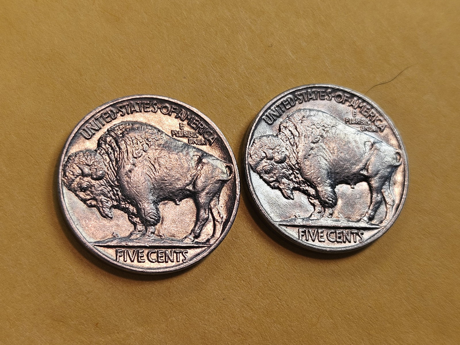 Choice and GEM Brilliant Uncirculated Buffalo Nickels - 5