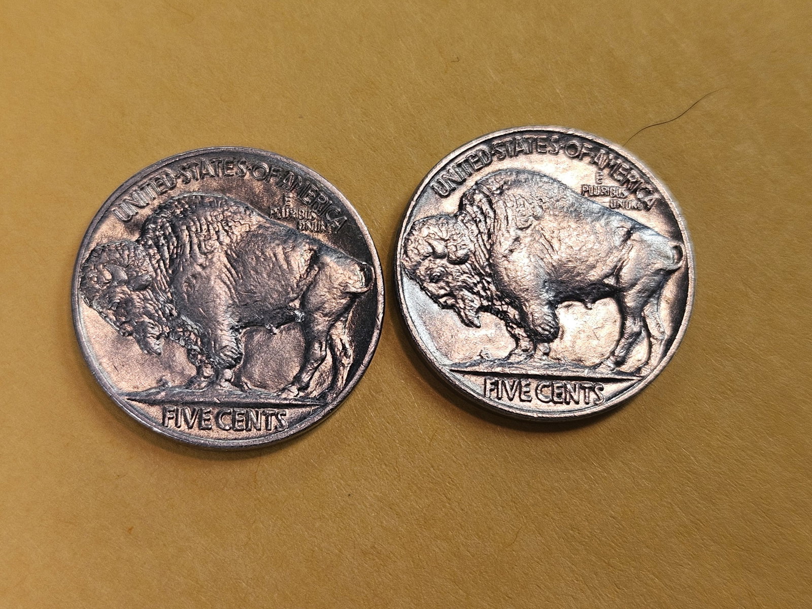 Choice and GEM Brilliant Uncirculated Buffalo Nickels - 6