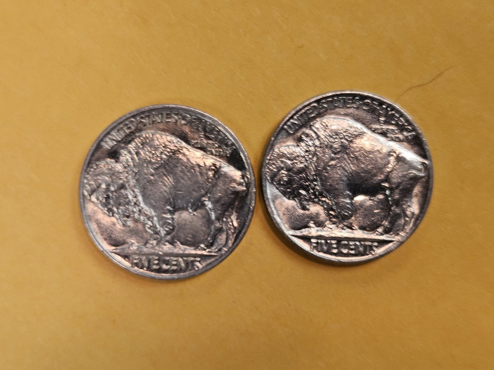 Choice and GEM Brilliant Uncirculated Buffalo Nickels - 7
