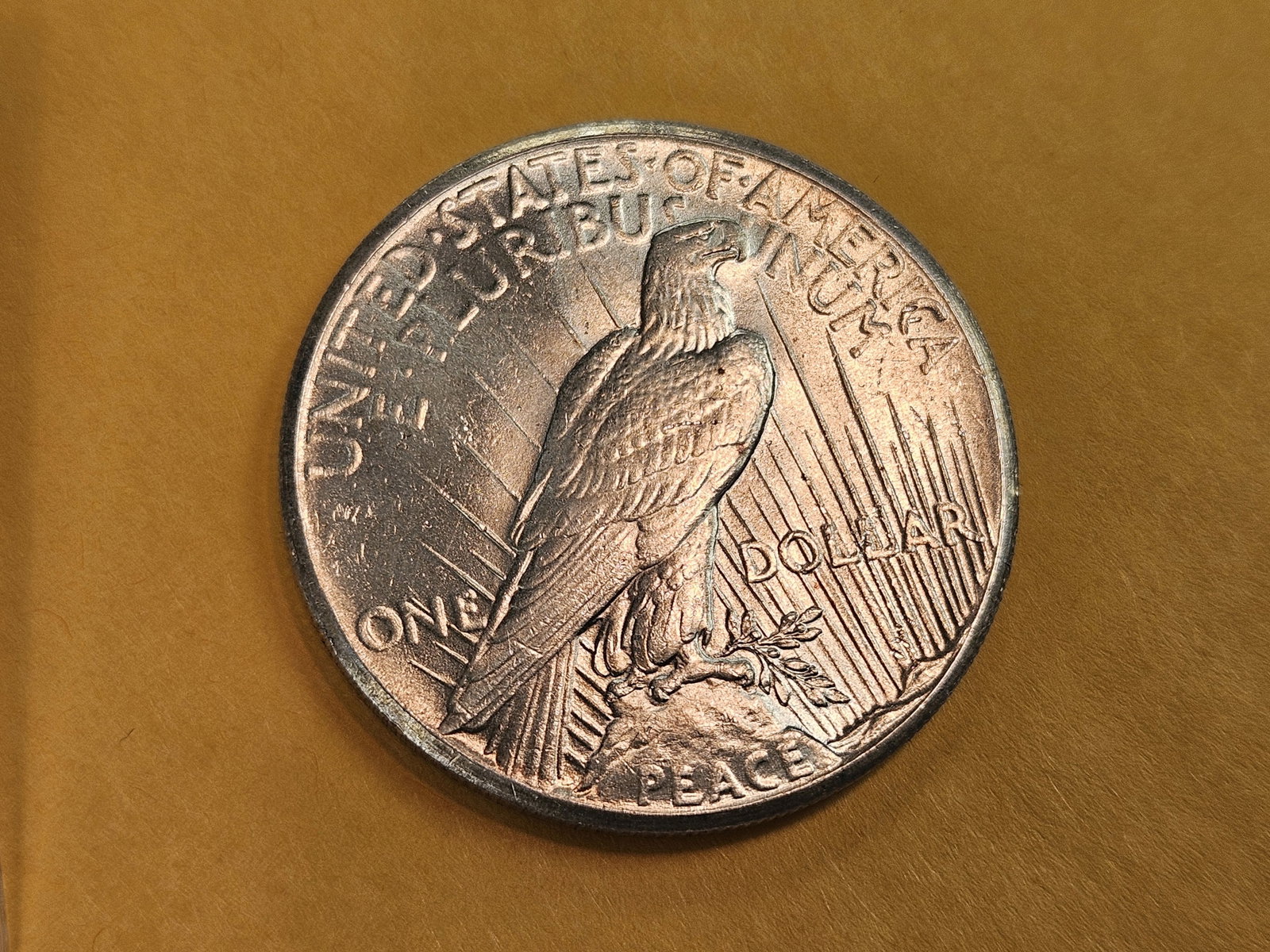 Better Grade 1927 Peace Silver Dollar in Choice Brilliant Uncirculated - 5