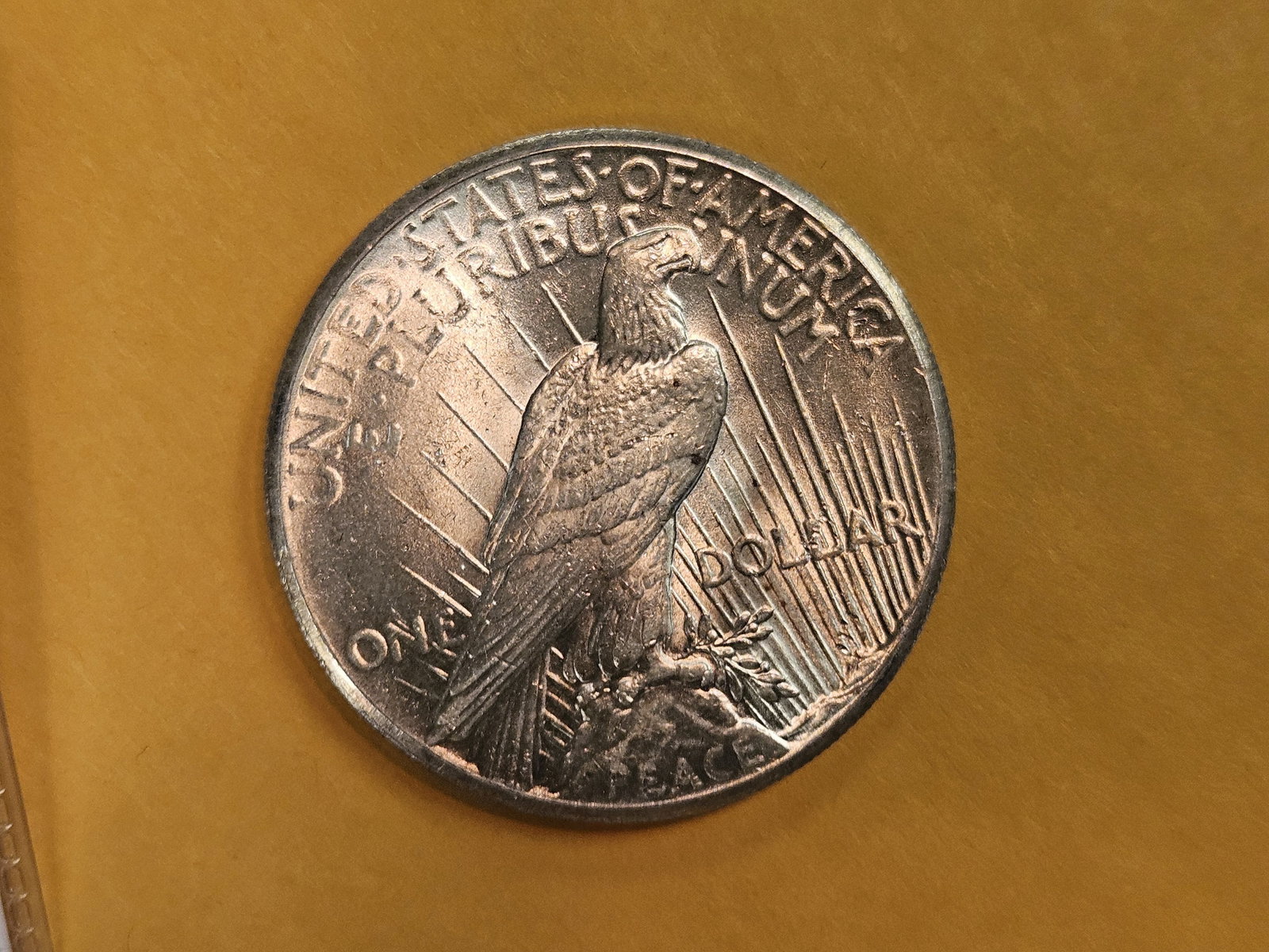 Better Grade 1927 Peace Silver Dollar in Choice Brilliant Uncirculated - 6