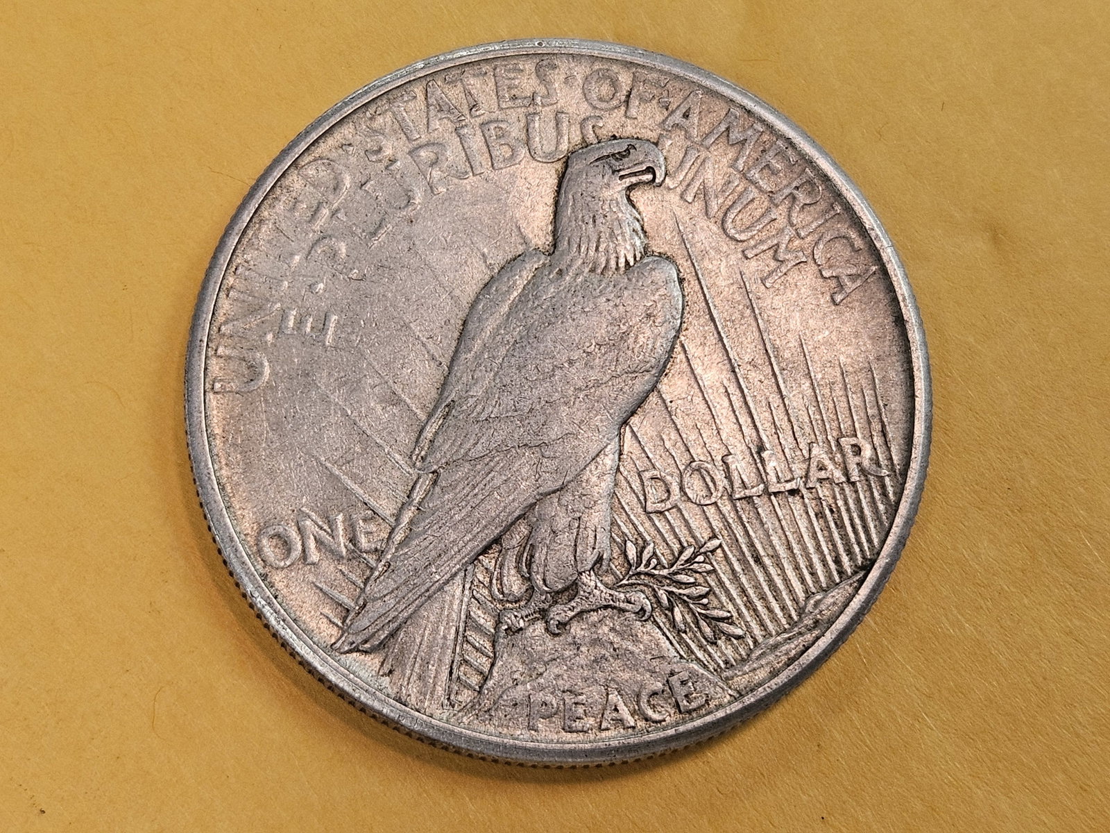 ** KEY DATE ** 1921 Peace Silver Dollar in About Uncirculated - 55 - 4