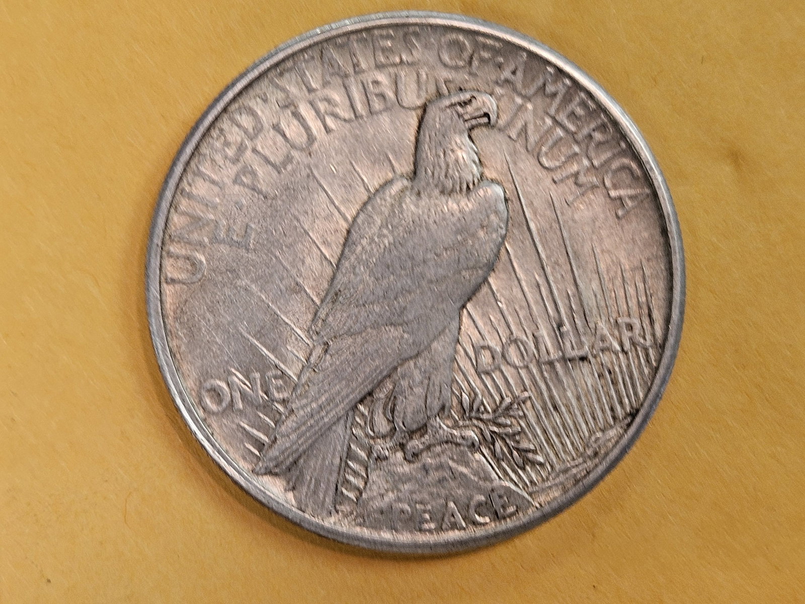 ** KEY DATE ** 1921 Peace Silver Dollar in About Uncirculated - 55 - 5