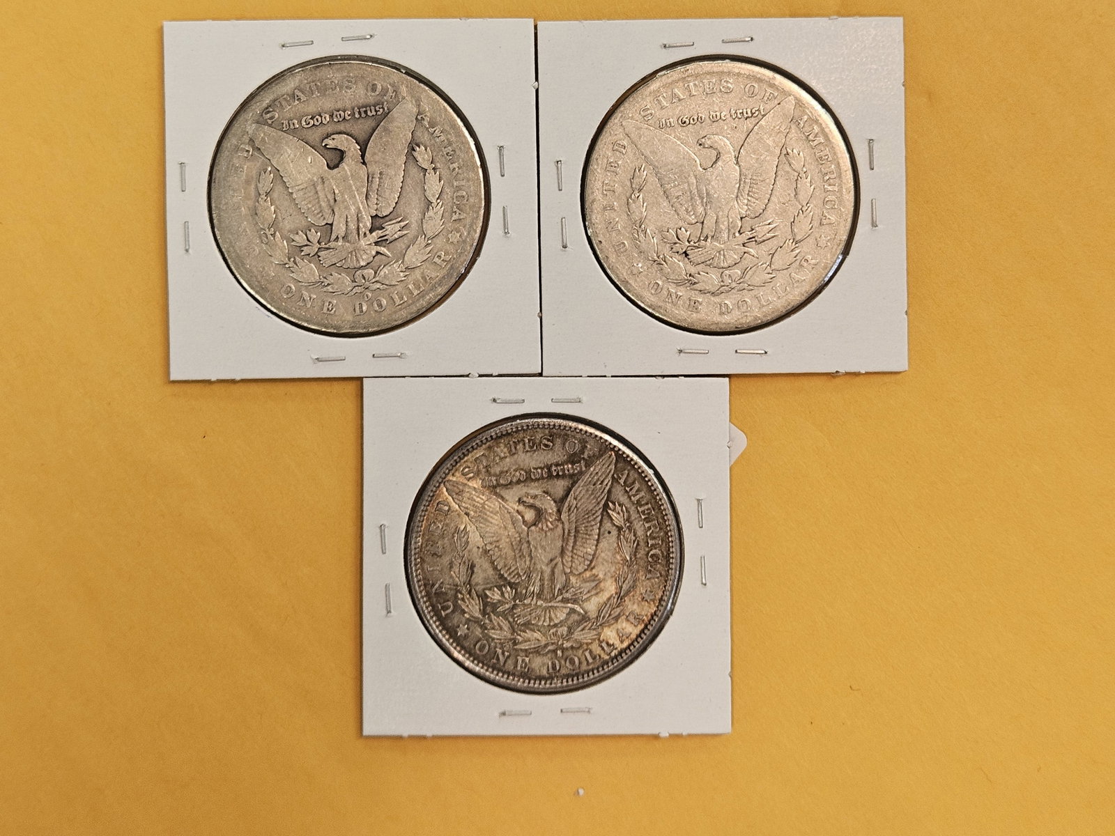 Three Morgan Silver Dollars - 2