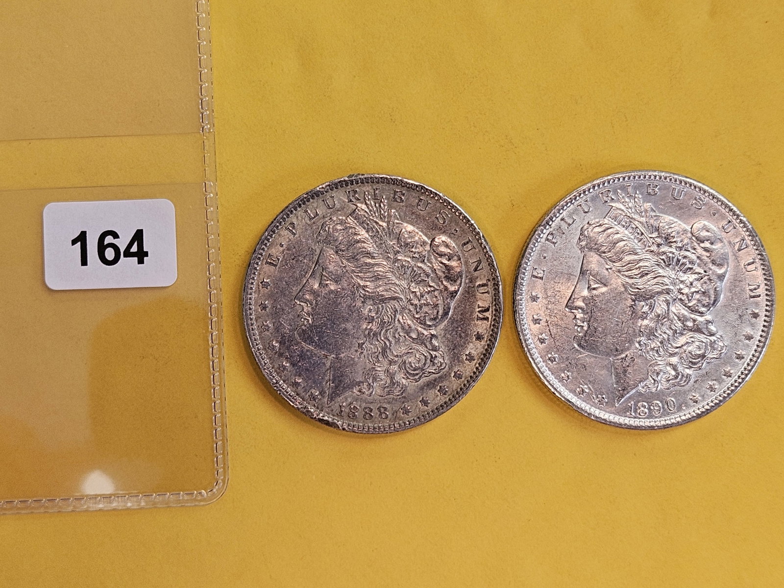 Two About Uncirculated Plus Morgan silver Dollars - 2