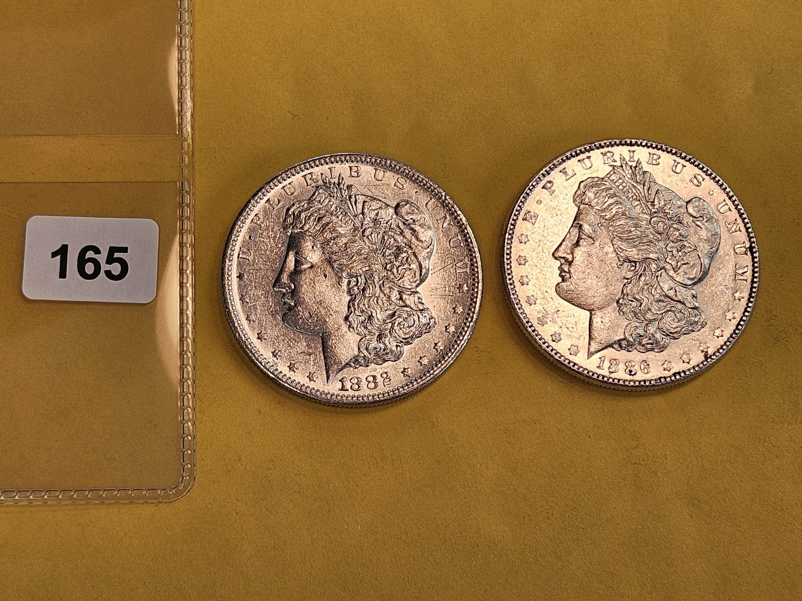 Two About Uncirculated Plus Morgan silver Dollars - 2