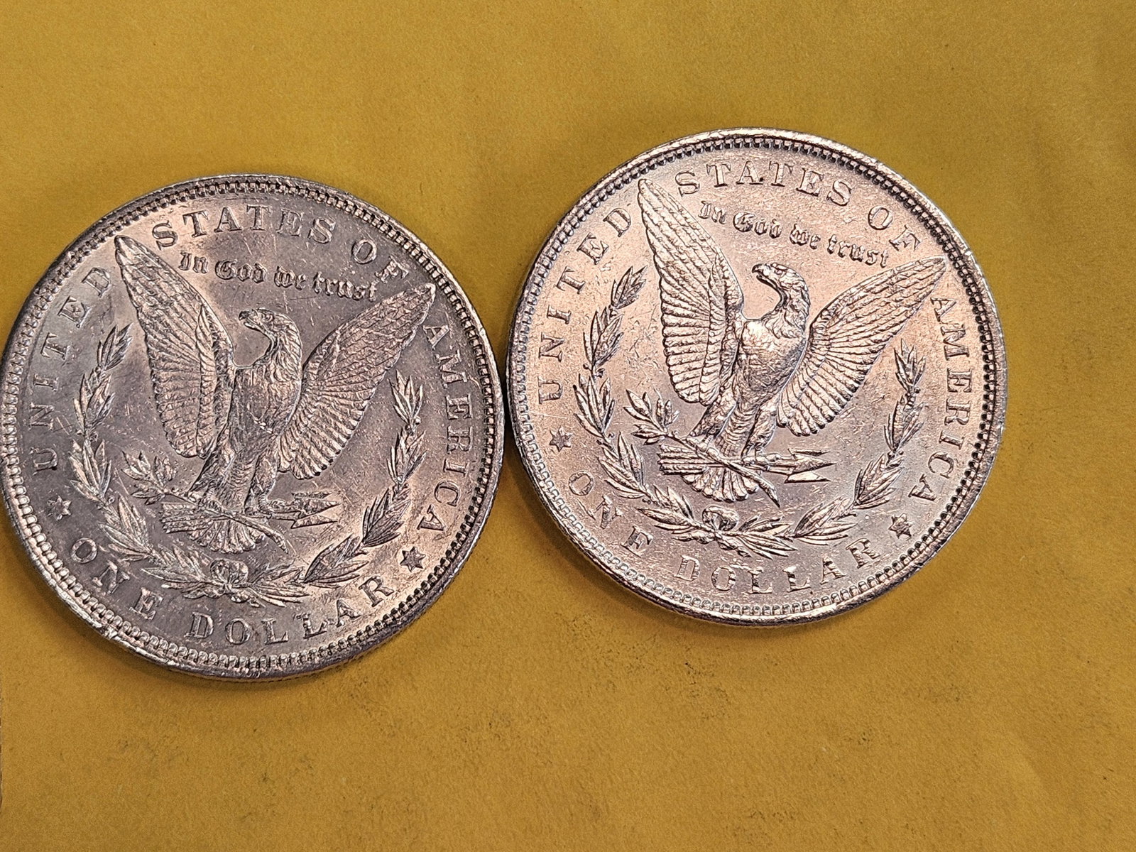 Two About Uncirculated Plus Morgan silver Dollars - 3