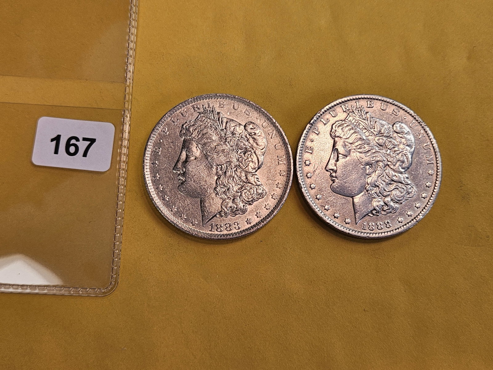Two About Uncirculated Plus Morgan silver Dollars - 2