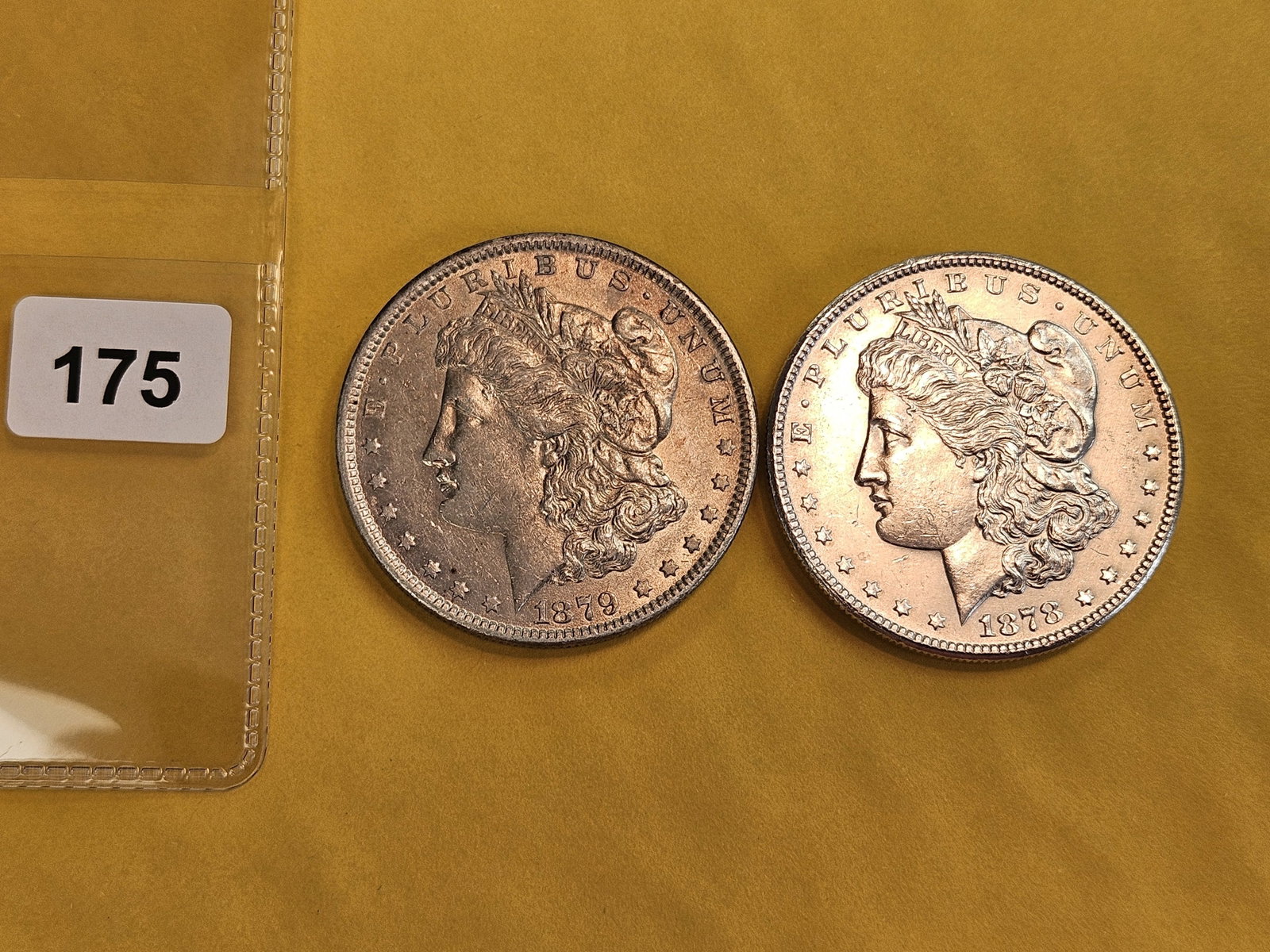 Two About Uncirculated Plus Morgan silver Dollars - 2