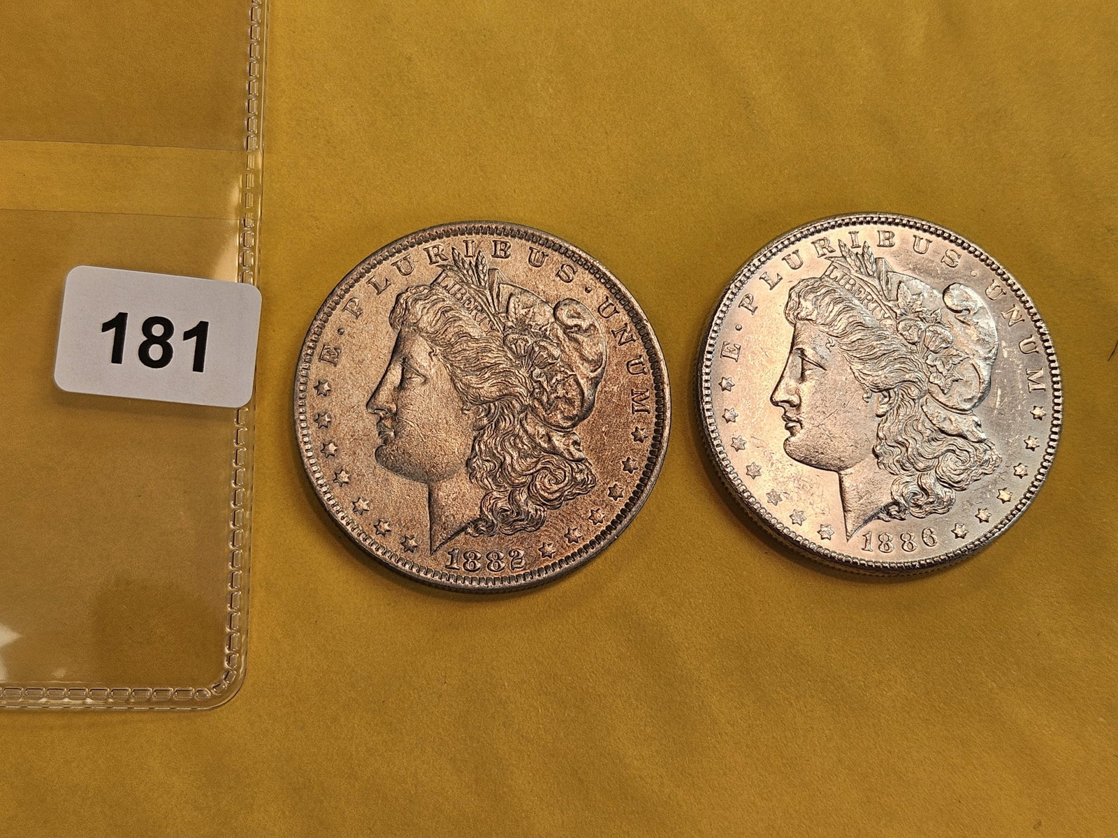 Two About Uncirculated Plus Morgan silver Dollars - 2