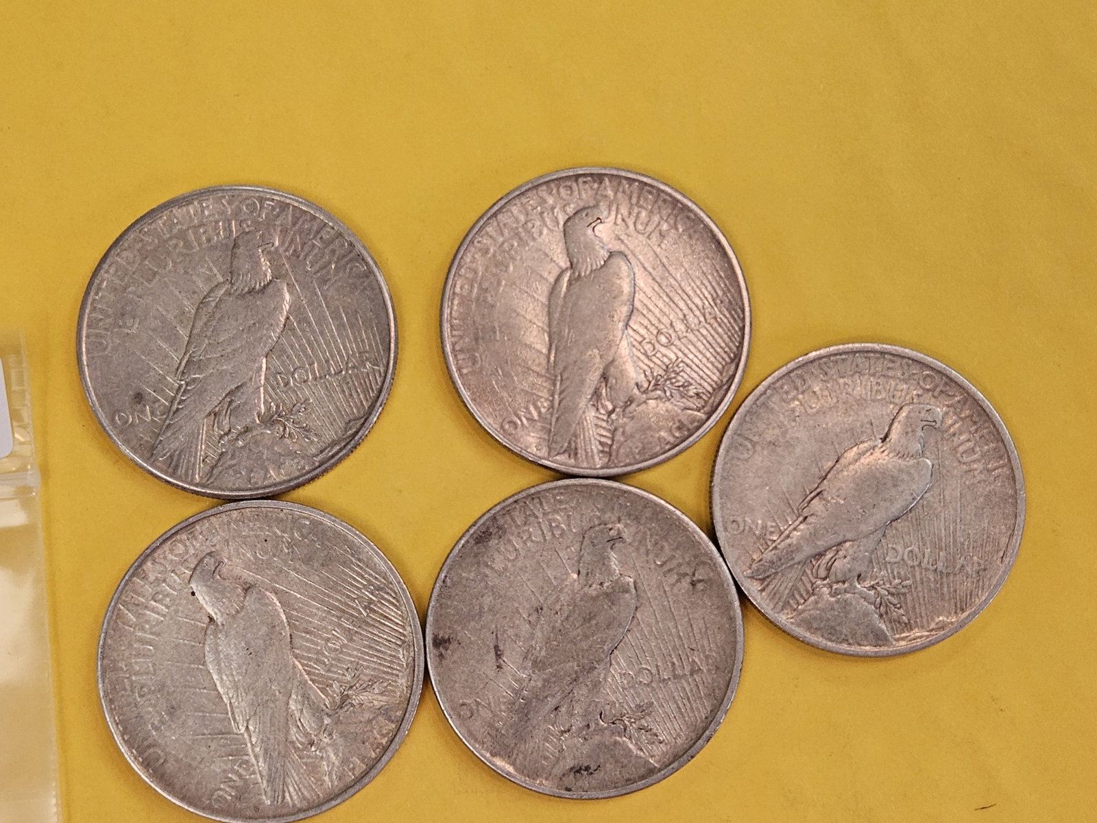 Five mixed Peace Silver Dollars - 3