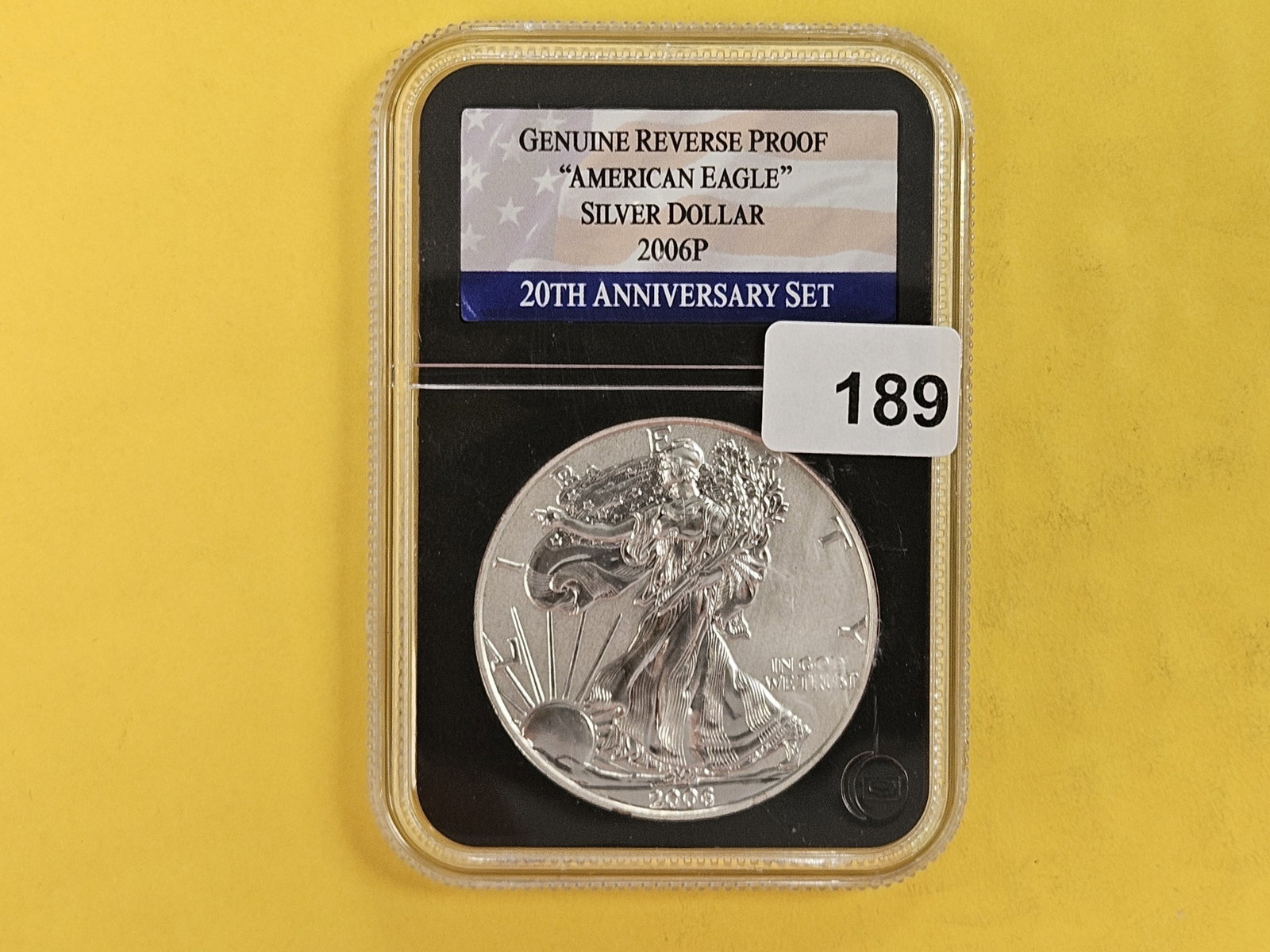 GEM 2006-P American Silver Eagle Reverse Proof - 2