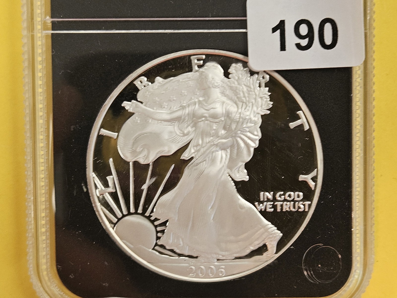 GEM Proof Deep Cameo 2006-W American Silver Eagle: In off-brand holder