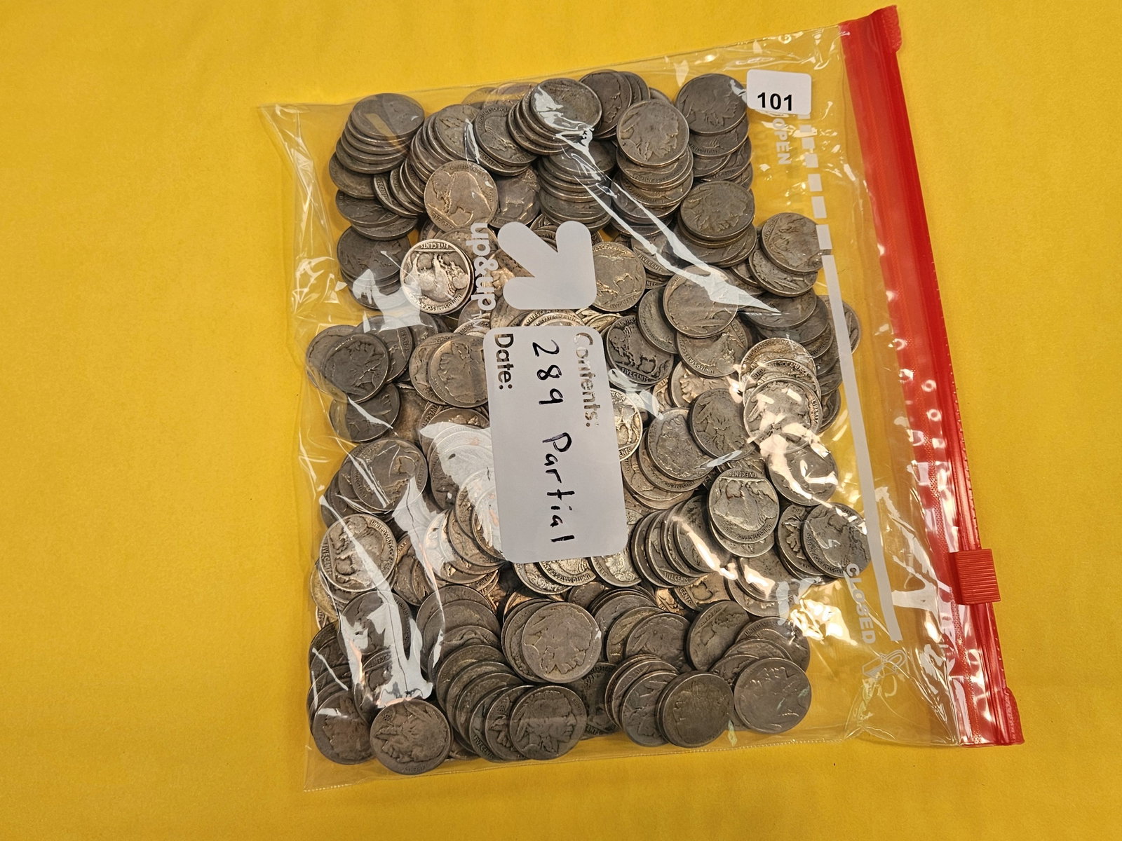 TWO HUNDRED eighty-nine Buffalo Nickels (1 of 1)