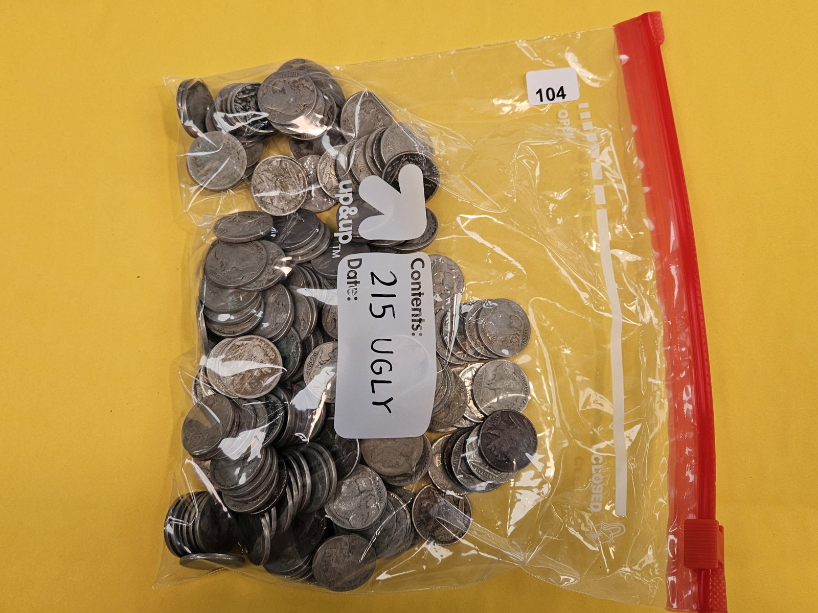 TWO HUNDRED fifteen Buffalo Nickels (1 of 1)