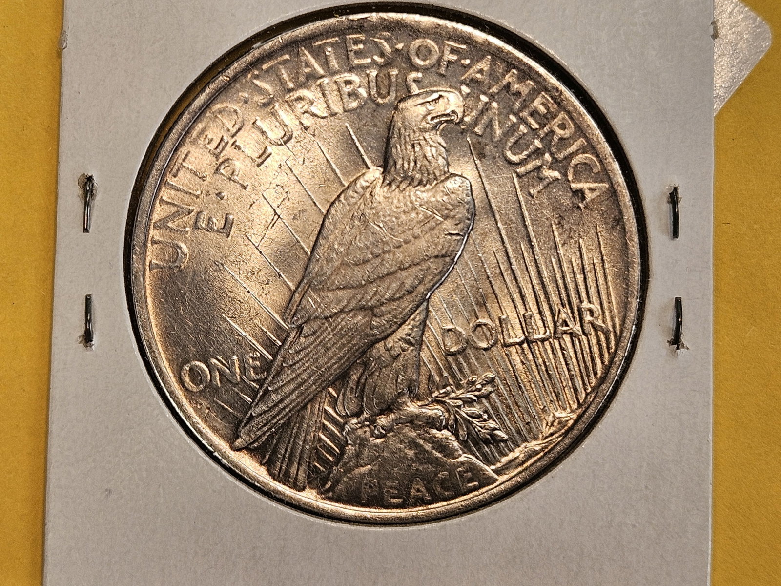 1924 Peace silver Dollar - 3