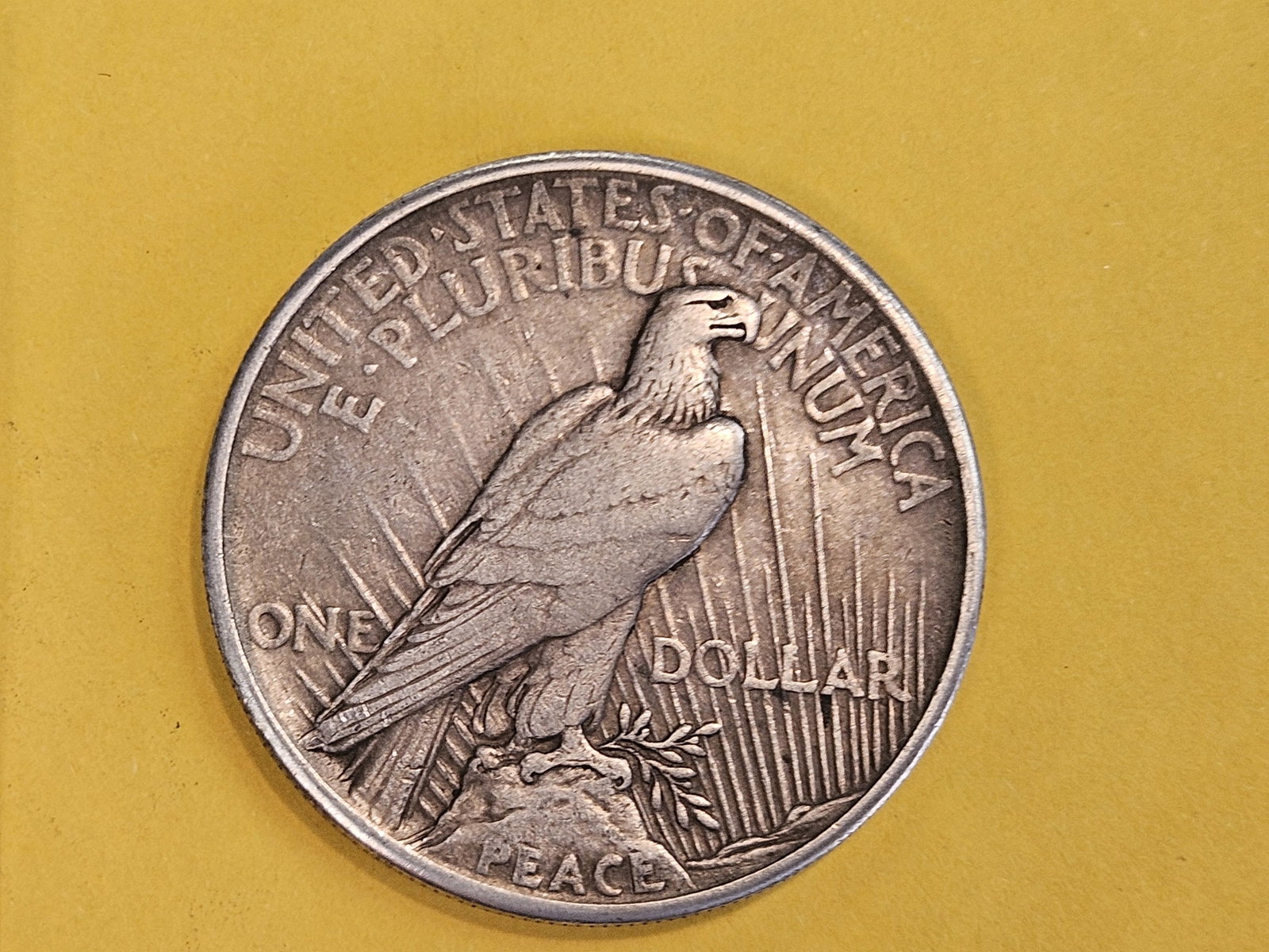 ** KEY DATE ** 1921 Peace Silver Dollar in Extra Fine - 3