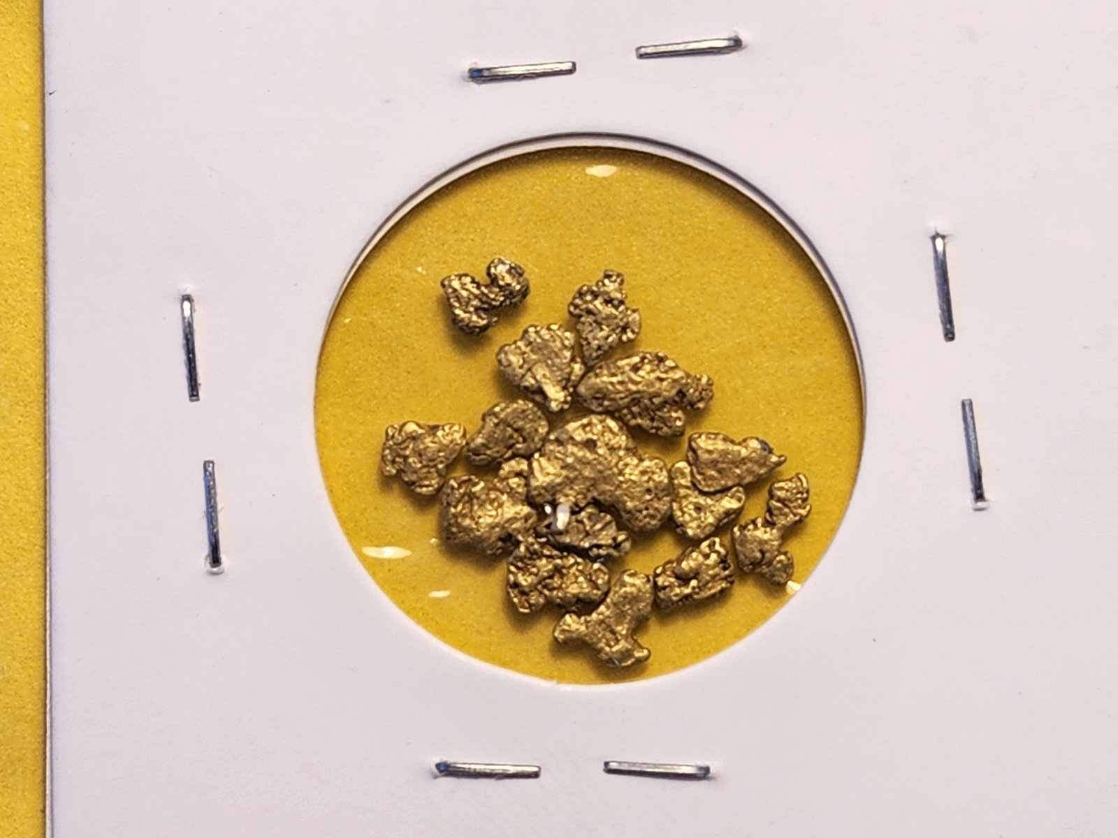 GOLD! California Gold Nuggets - 4