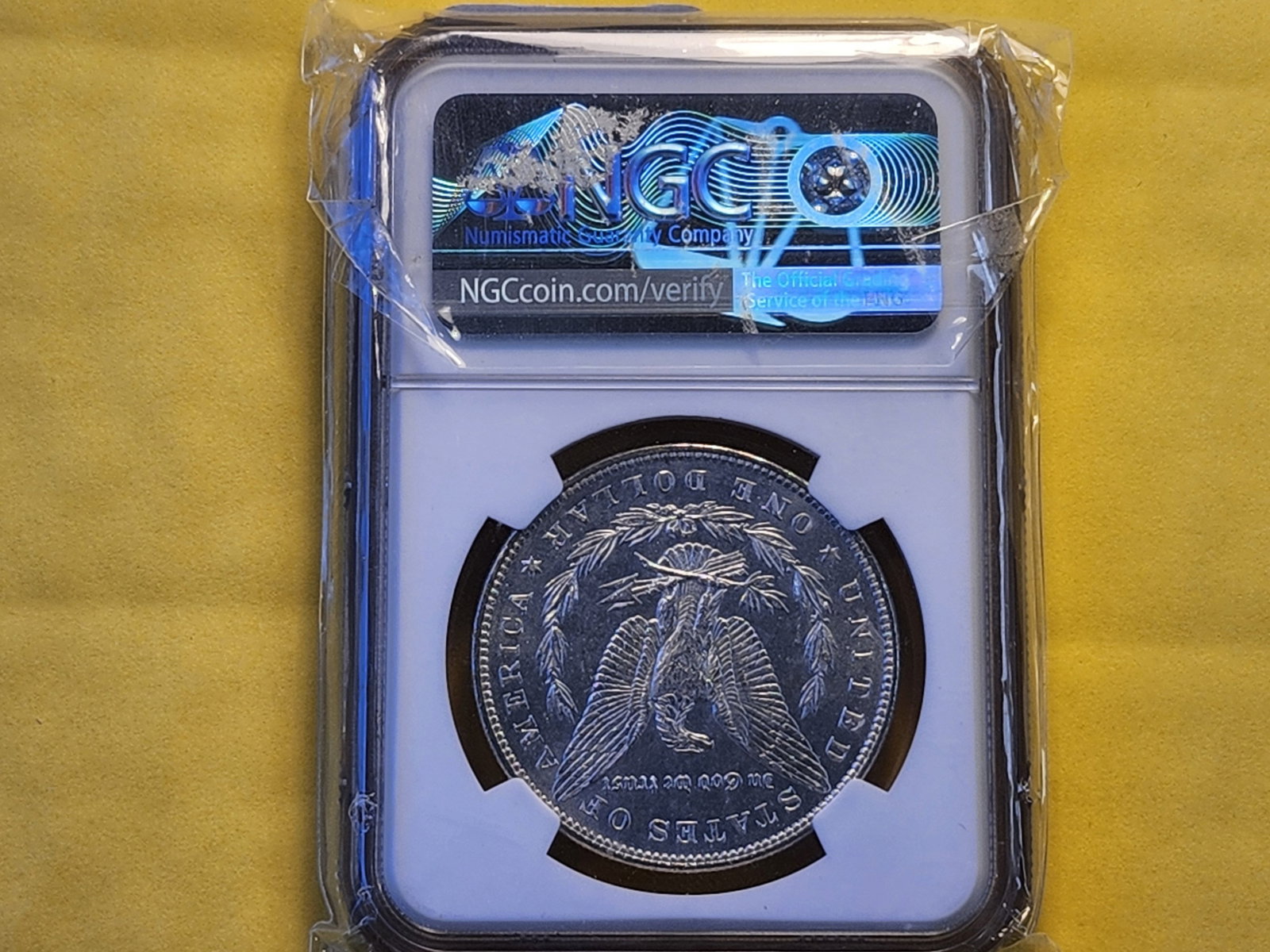 NGC 1887 Morgan Dollar in Mint State 60 Proof-Like - 3