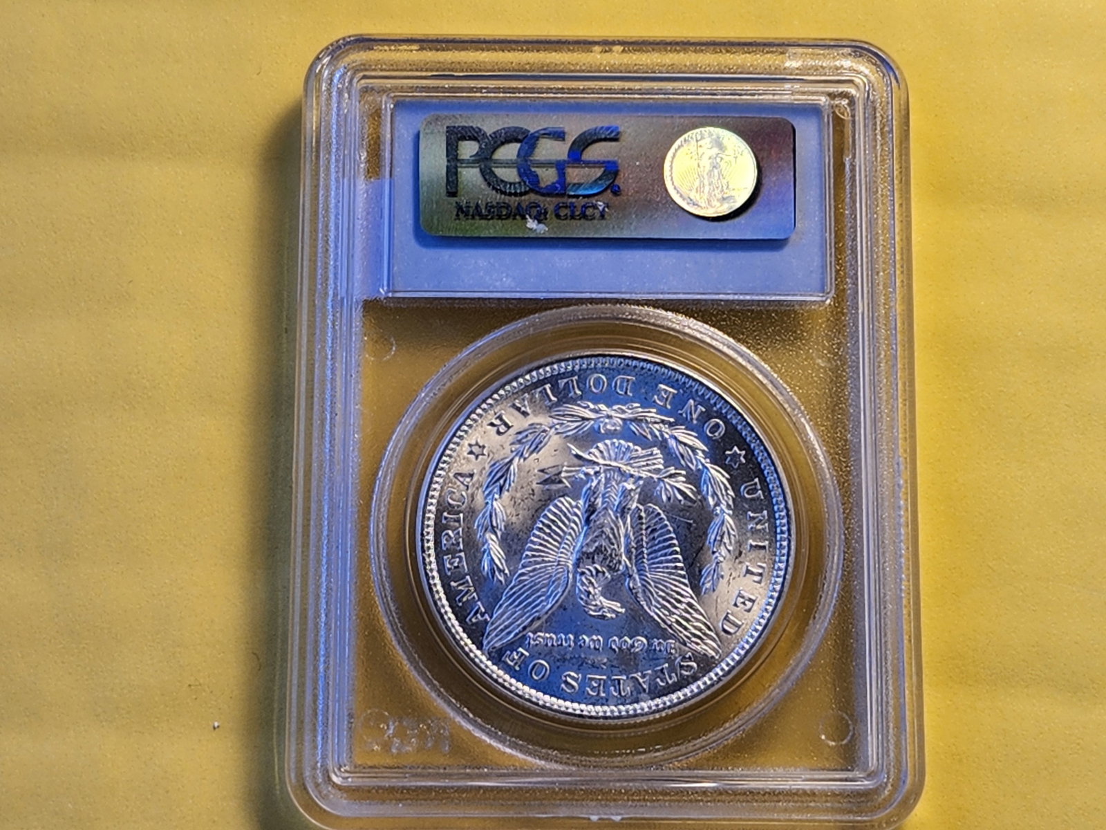 PCGS 1921 Morgan Dollar in Mint State 62 - 3