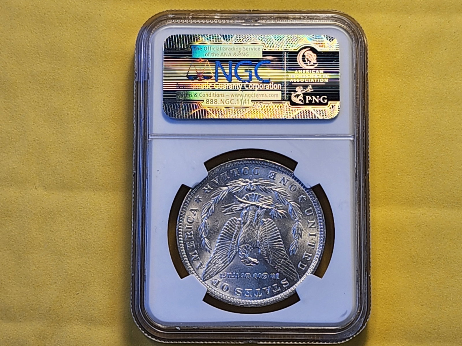 NGC 1884-O Morgan Dollar in Mint State 63 - 3