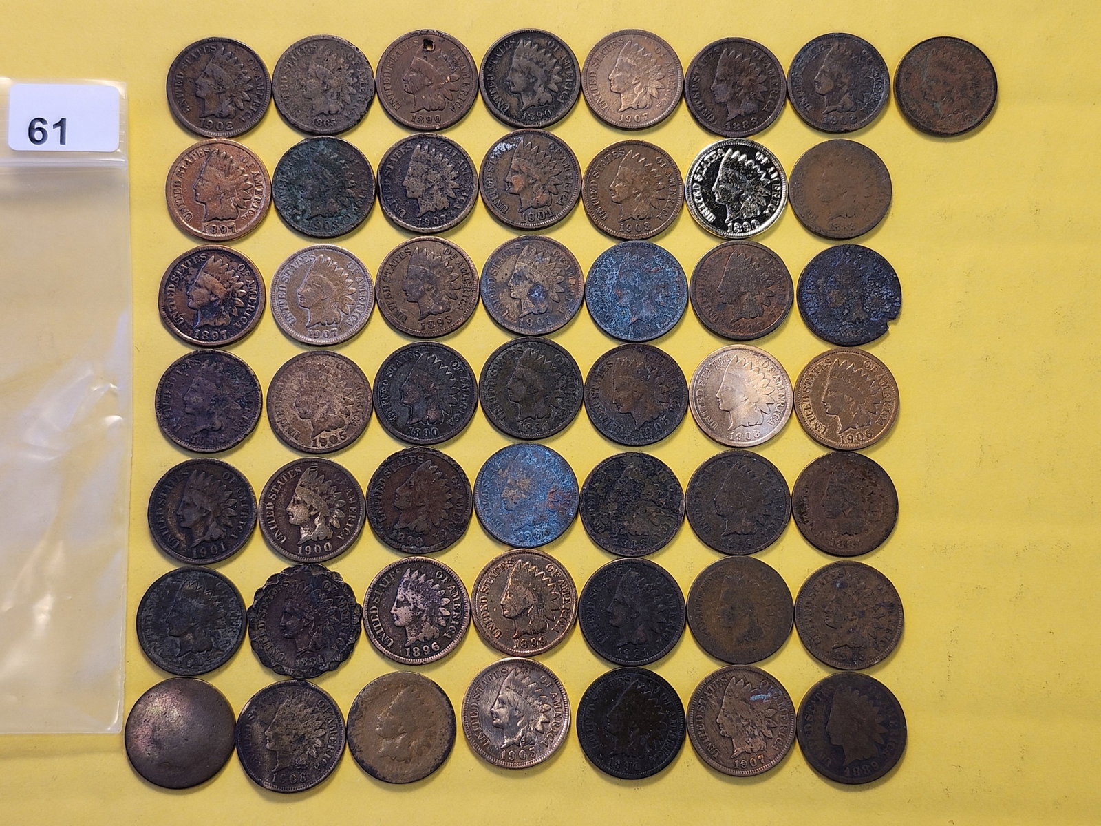 Fifty Indian Cents: Mixed dates and grades