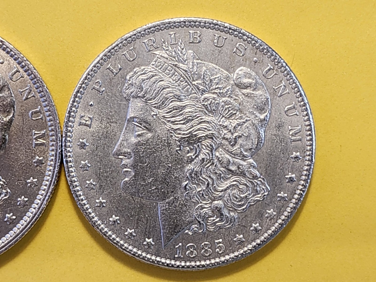 Two Brilliant About Uncirculated Plus Morgan Silver Dollars - 3