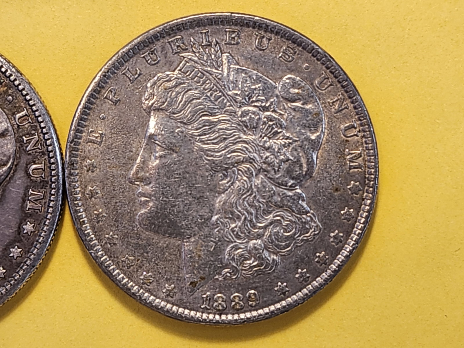 Two About Uncirculated Plus Morgan Silver Dollars - 3