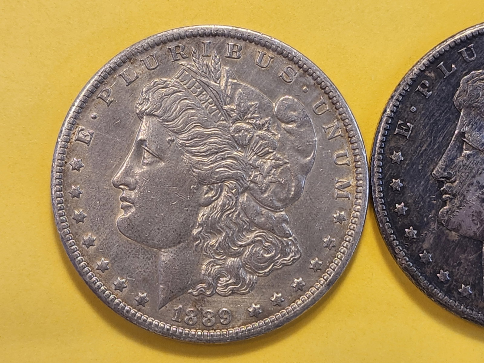 Two About Uncirculated Morgan Silver Dollars - 2