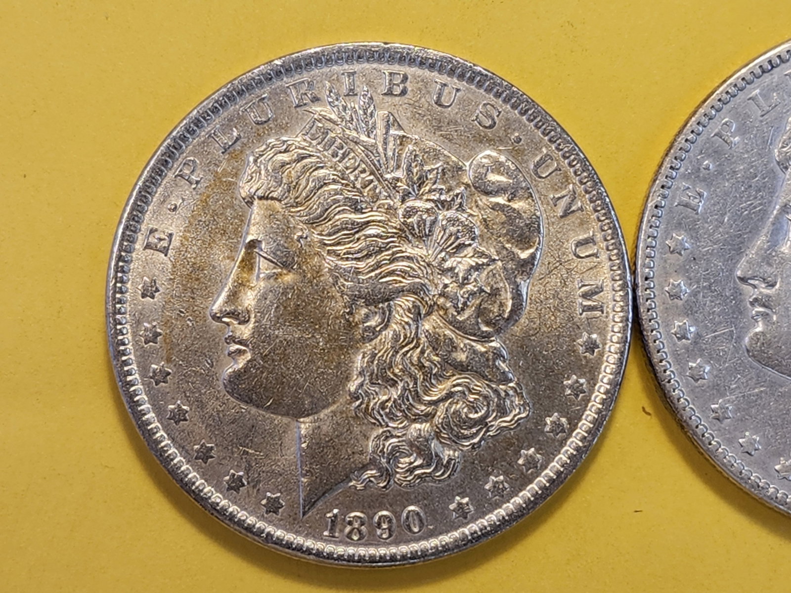 Two Brilliant About Uncirculated Plus Morgan Silver Dollars - 2