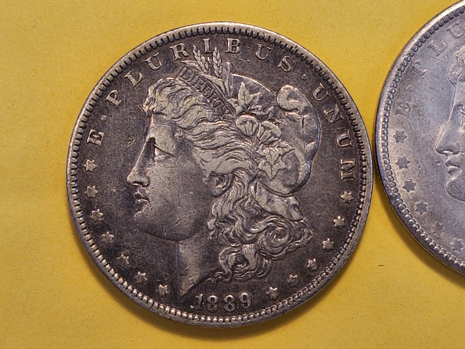 Two About Uncirculated Morgan Silver Dollars - 2