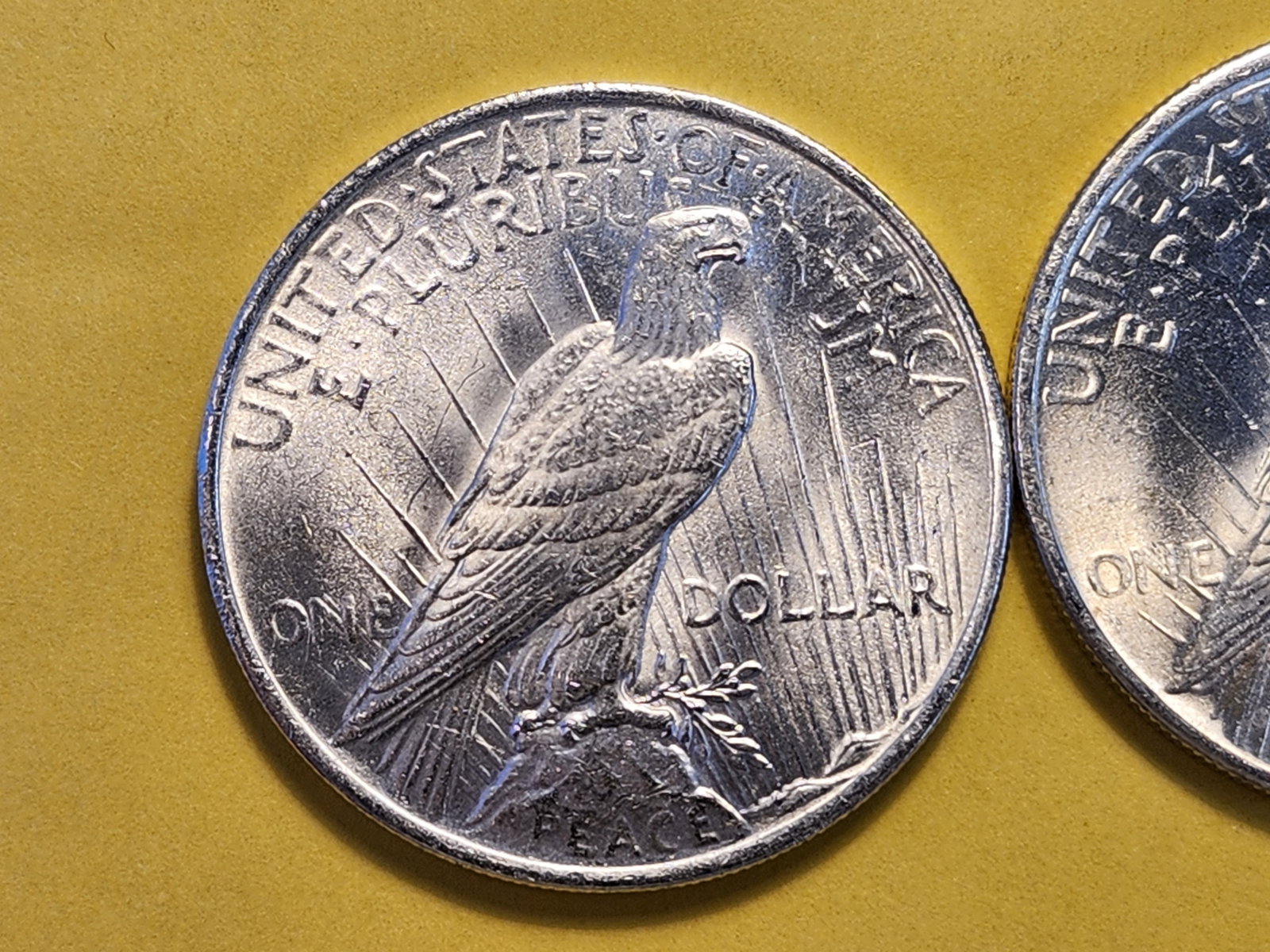 Two Brilliant About Uncirculated Plus Silver Peace Dollars - 4