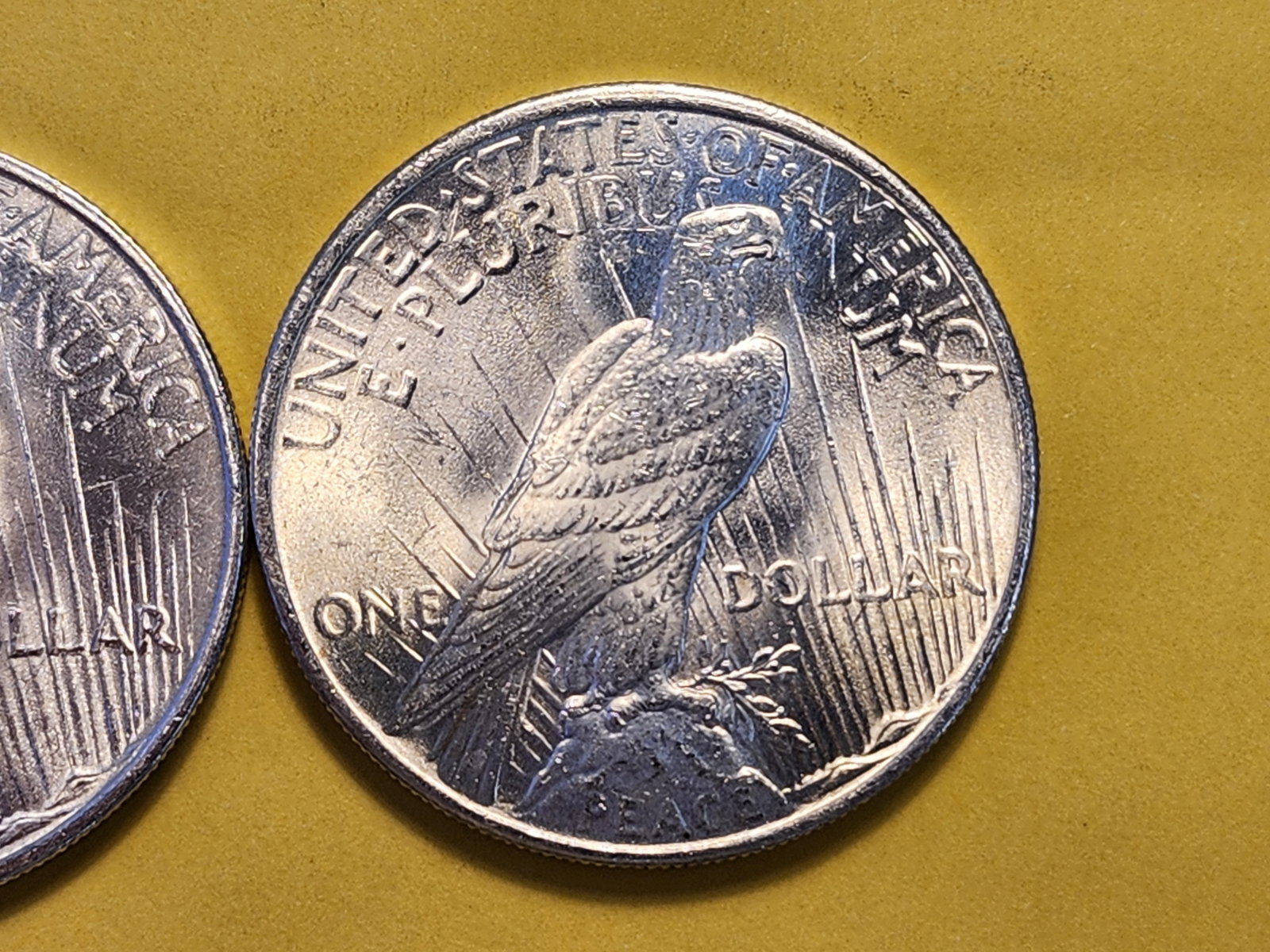 Two Brilliant About Uncirculated Plus Silver Peace Dollars - 5