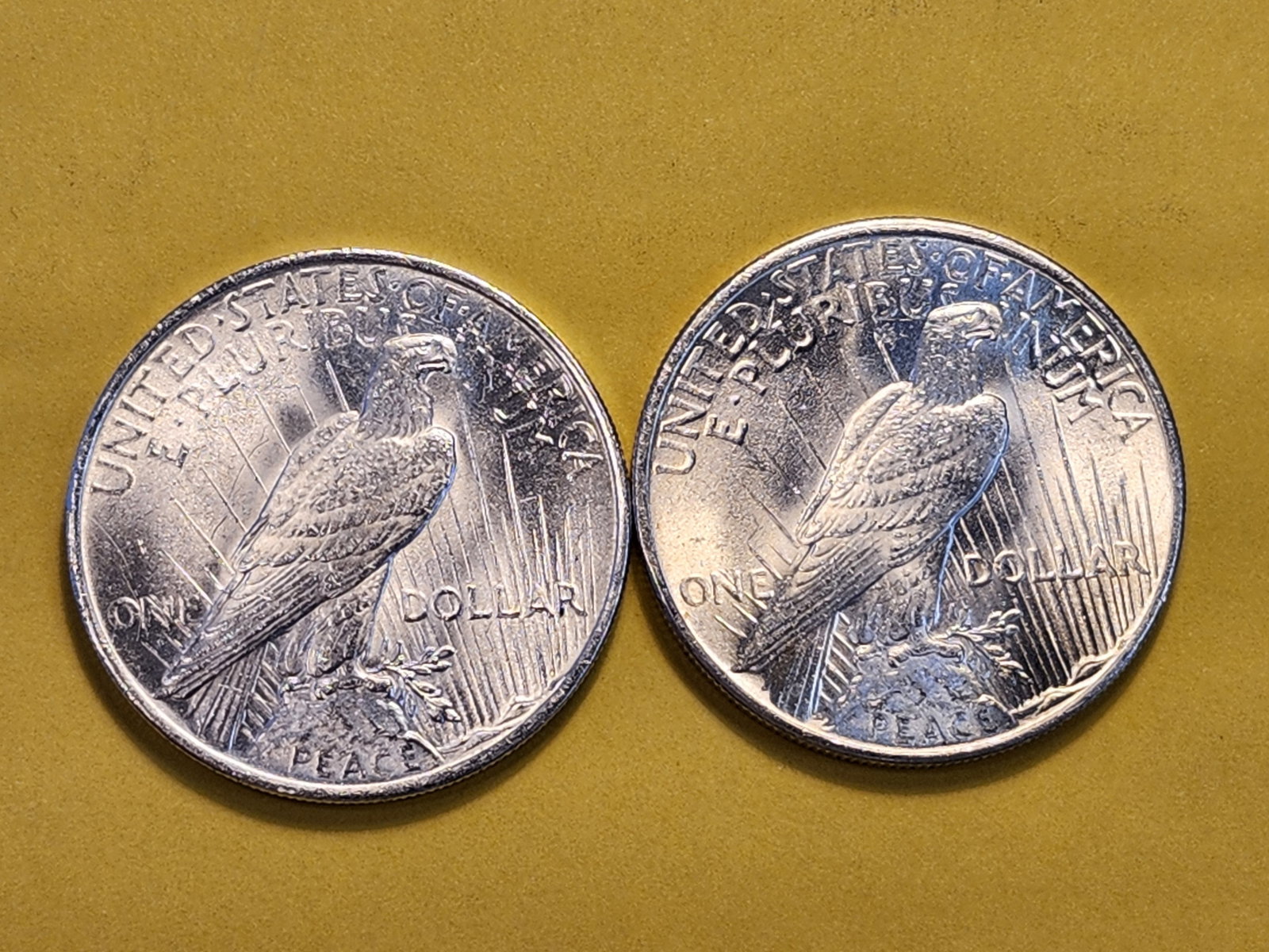 Two Brilliant About Uncirculated Plus Silver Peace Dollars - 6