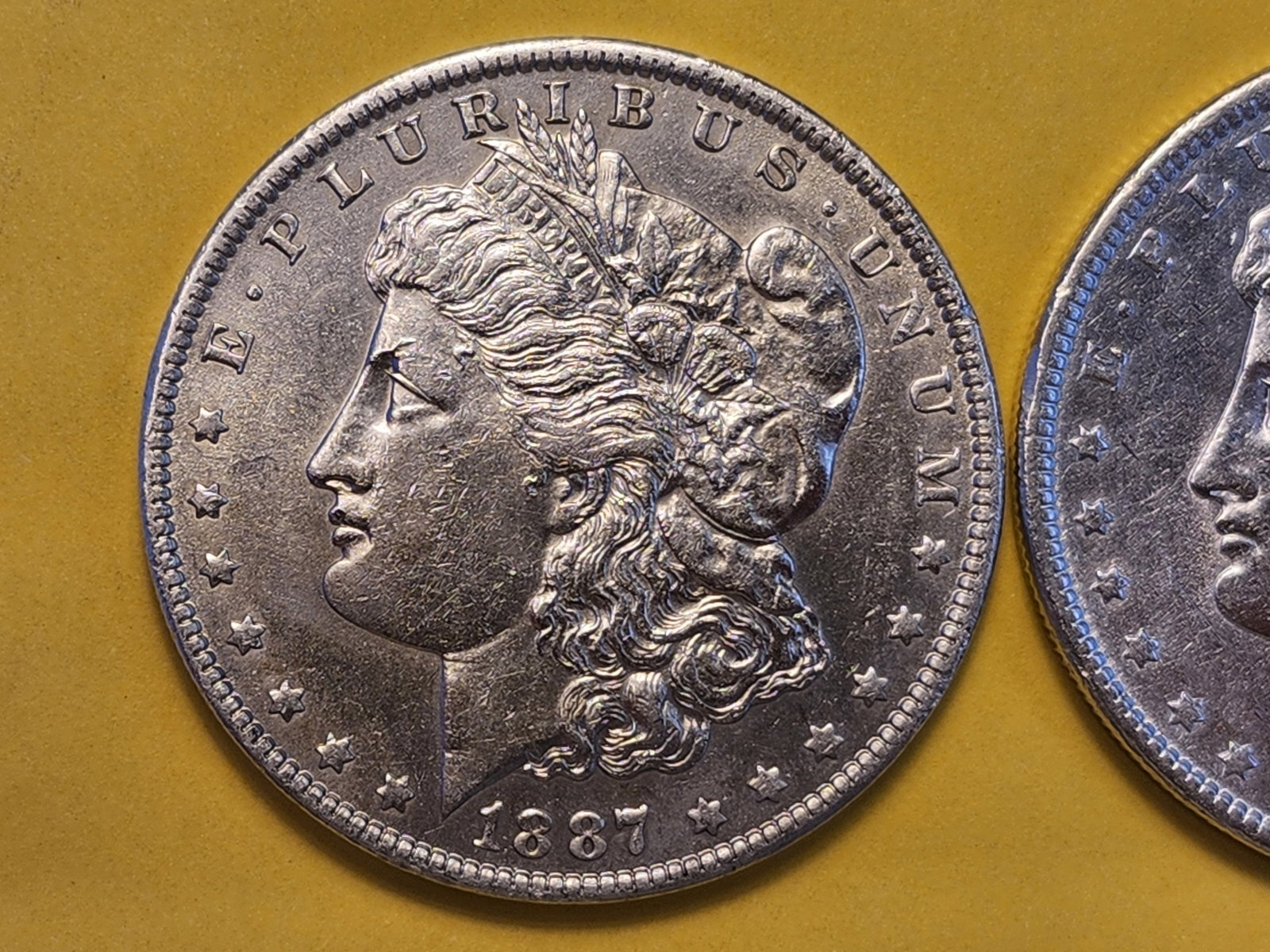 Two Brilliant About Uncirculated Plus Morgan Silver Dollars - 2
