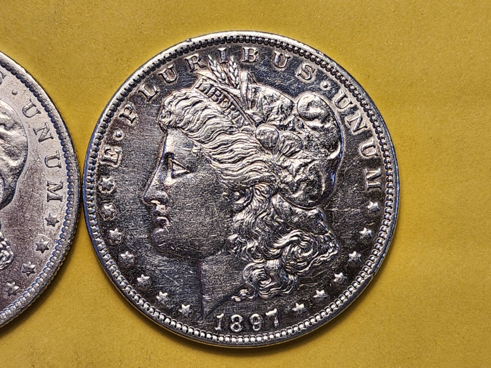 Two Brilliant About Uncirculated Plus Morgan Silver Dollars - 3