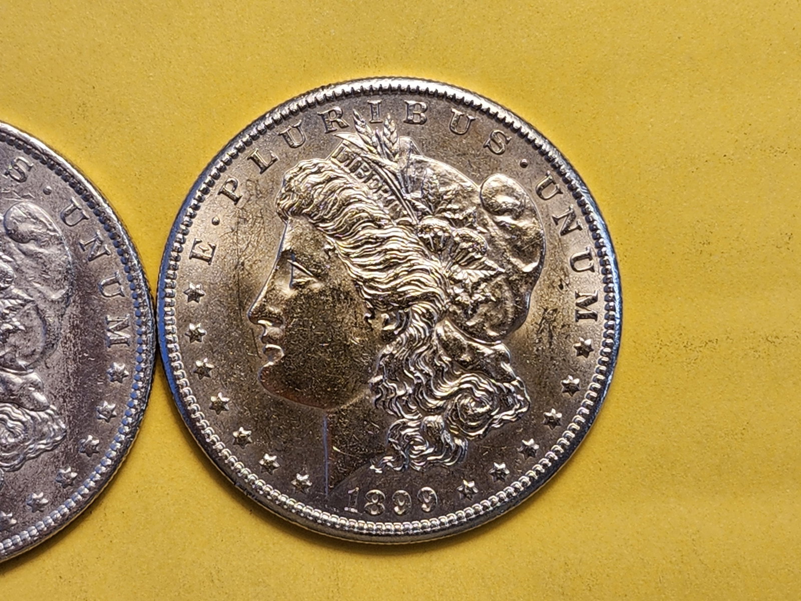 Two Brilliant About Uncirculated Plus Morgan Silver Dollars - 3