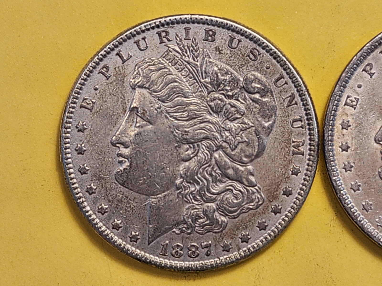 Two About Uncirculated Morgan Silver Dollars - 2