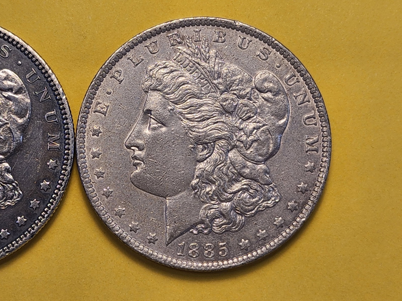 Two About Uncirculated Plus Morgan Silver Dollars - 3