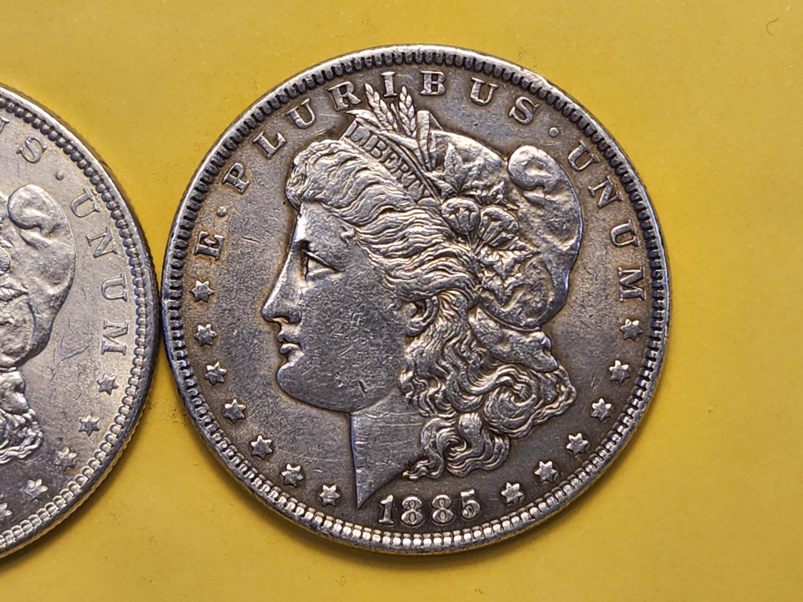 Two Brilliant About Uncirculated Plus Morgan Silver Dollars - 3