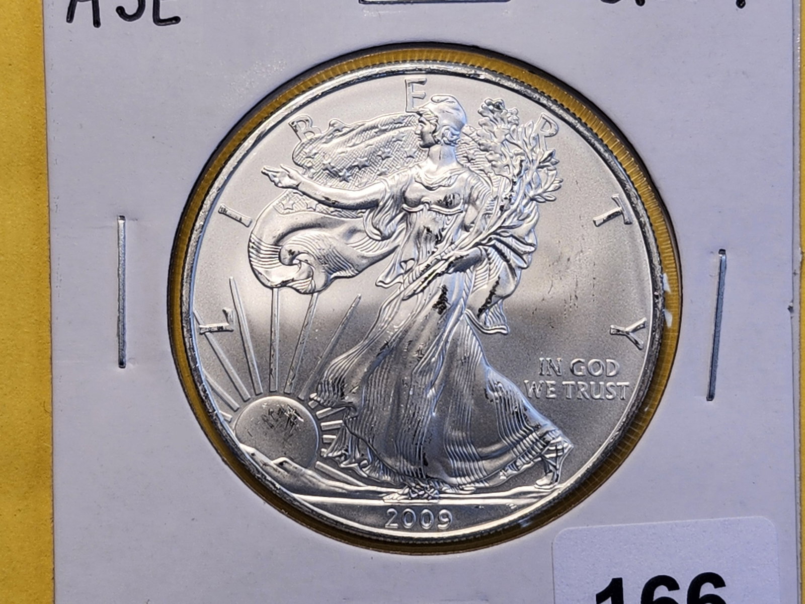 GEM Brilliant Uncirculated 2009 American Silver Eagle: Light scratches