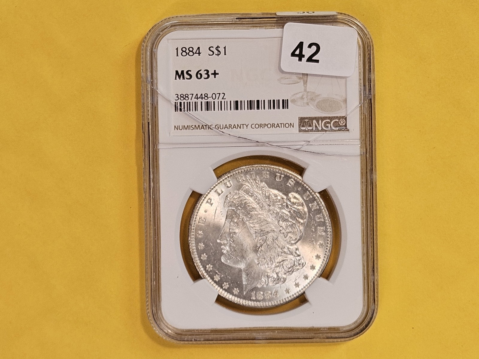 NGC 1884 Morgan Dollar in Mint State 63 Plus - 2