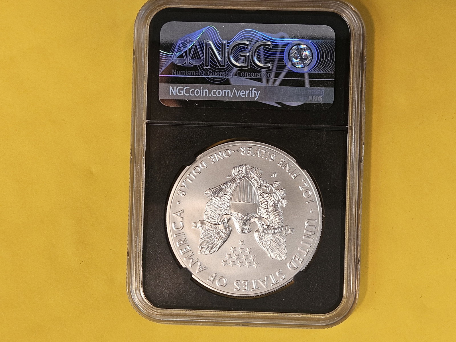 PERFECT! NGC 2018 American Silver Eagle in Mint State 70 - 2