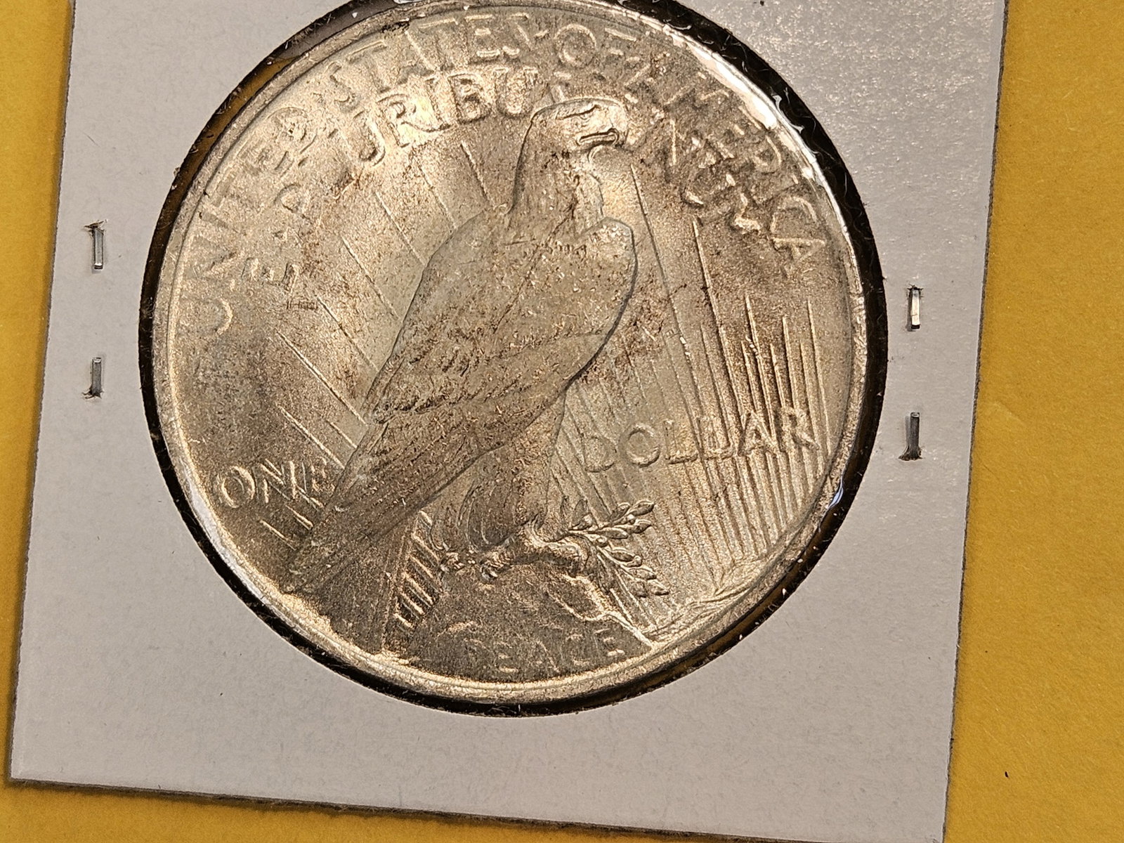 Brilliant Uncirculated Plus 1923 Peace silver Dollar - 3