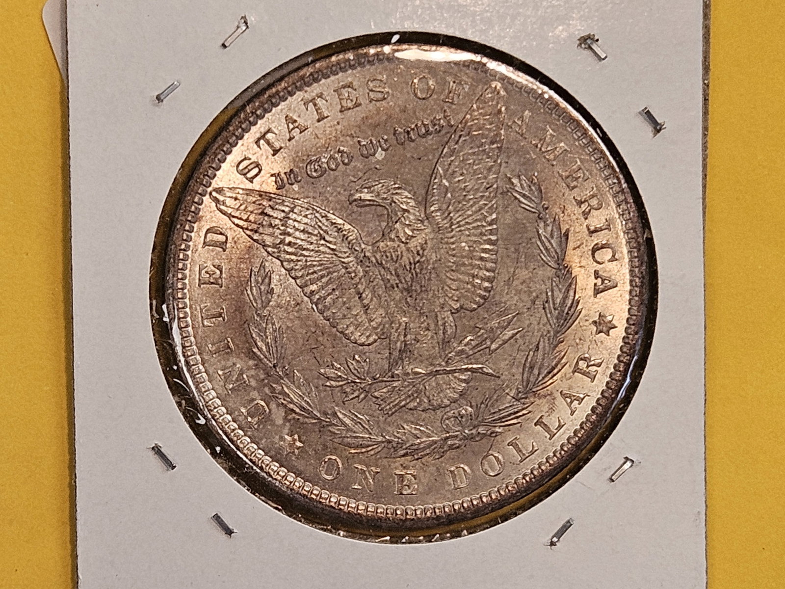 Brilliant Uncirculated Plus 1900 Morgan silver Dollar - 5