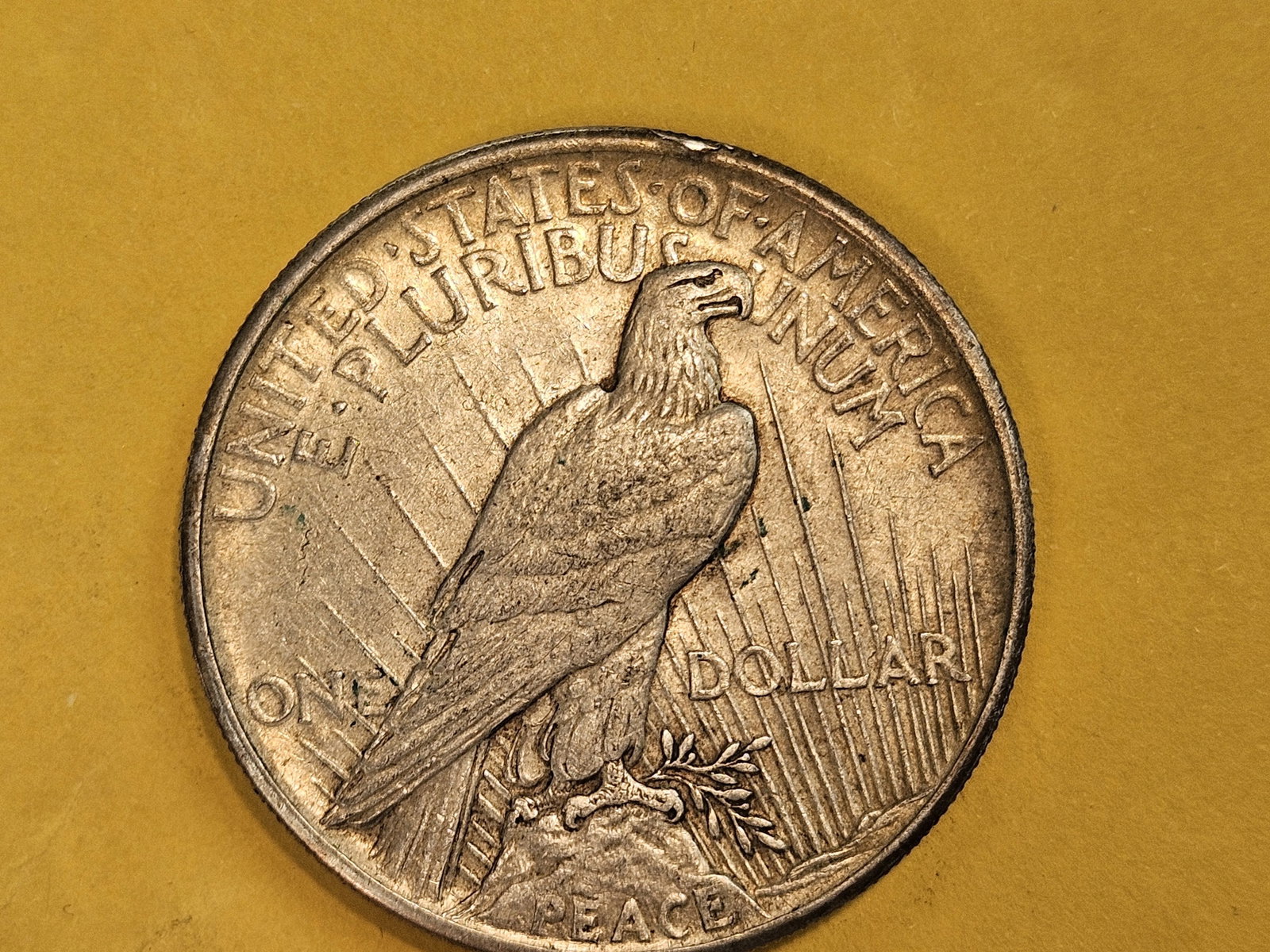 ** KEY DATE ** 1921 Peace silver Dollar in About Uncirculated - 7